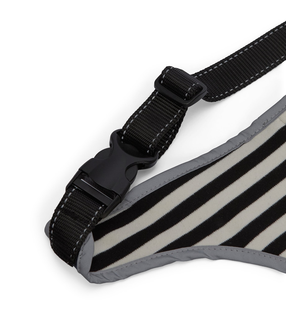 Waterproof Evie Dog Coat (Medium) NAVY Image 6