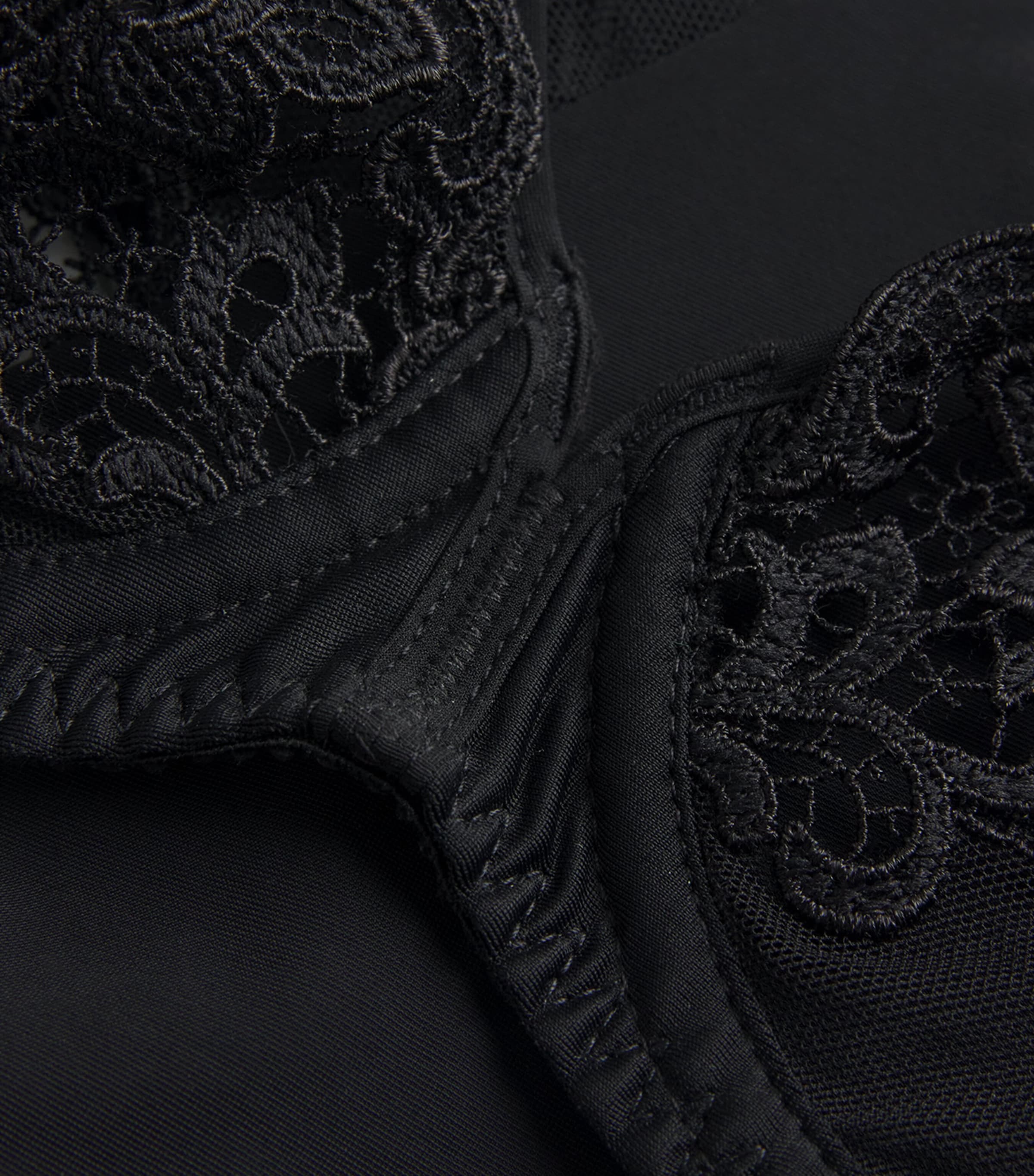 Embroidered Saga Plunge Bra 016 BLACK Image 4
