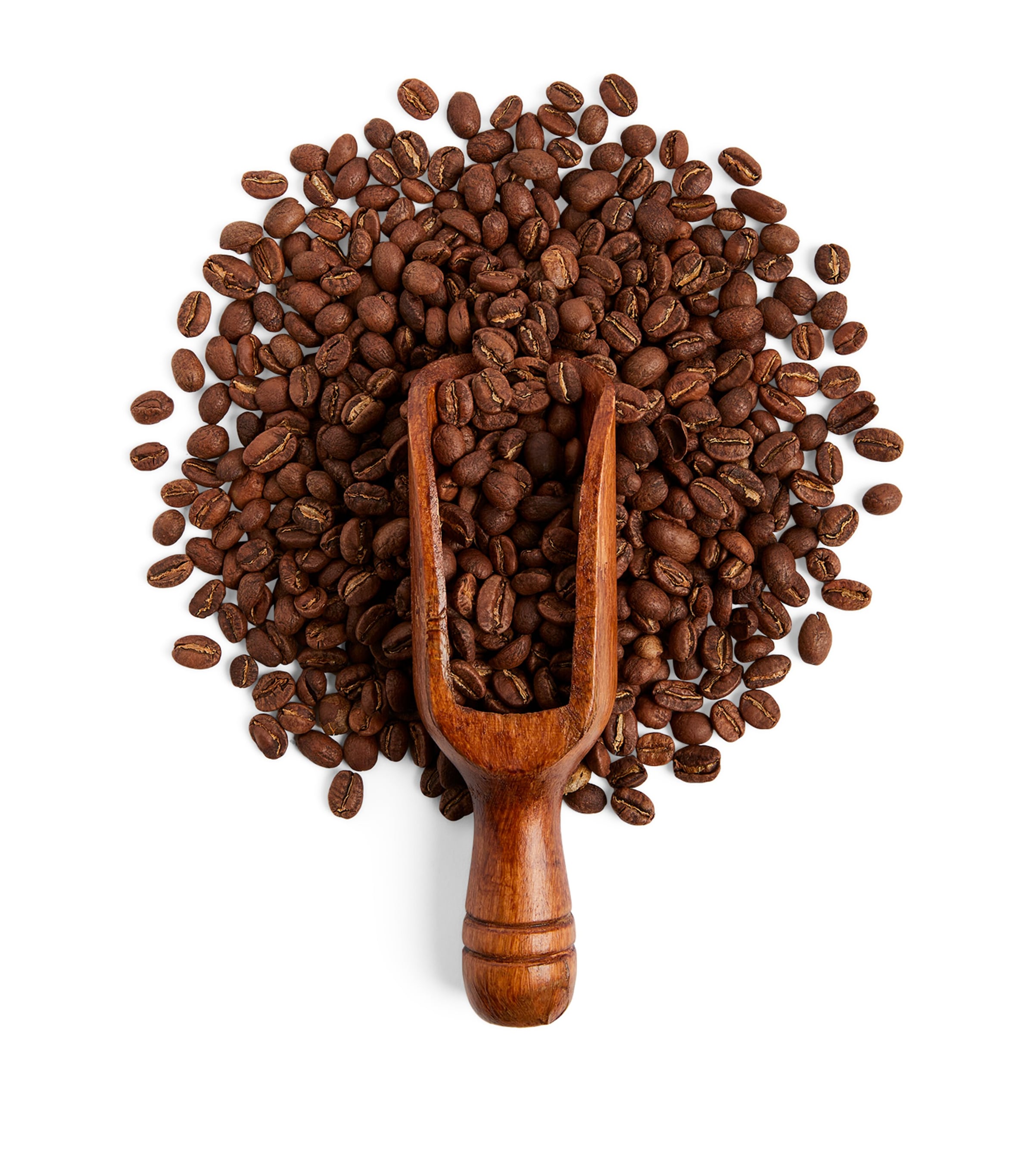 Ethiopian Yirgacheffe Coffee Beans (250g) NO COLOUR Image 2