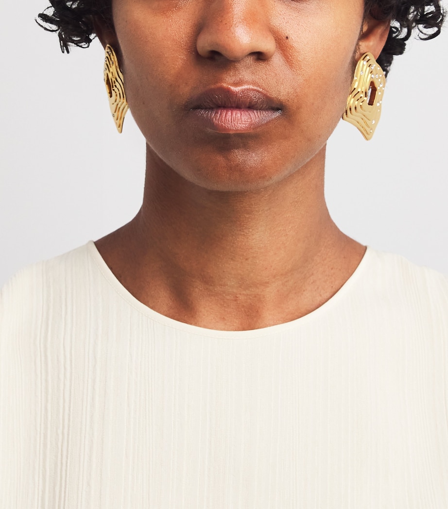 Falak Earrings BRASS Image 2