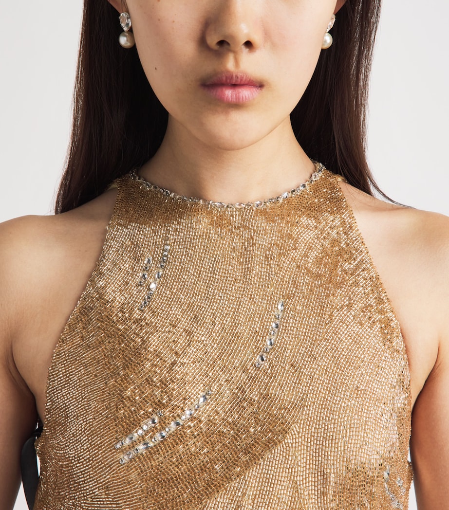 Clio Peppiatt Womens Embellished Delphine Maxi Gown Champagne Image 5