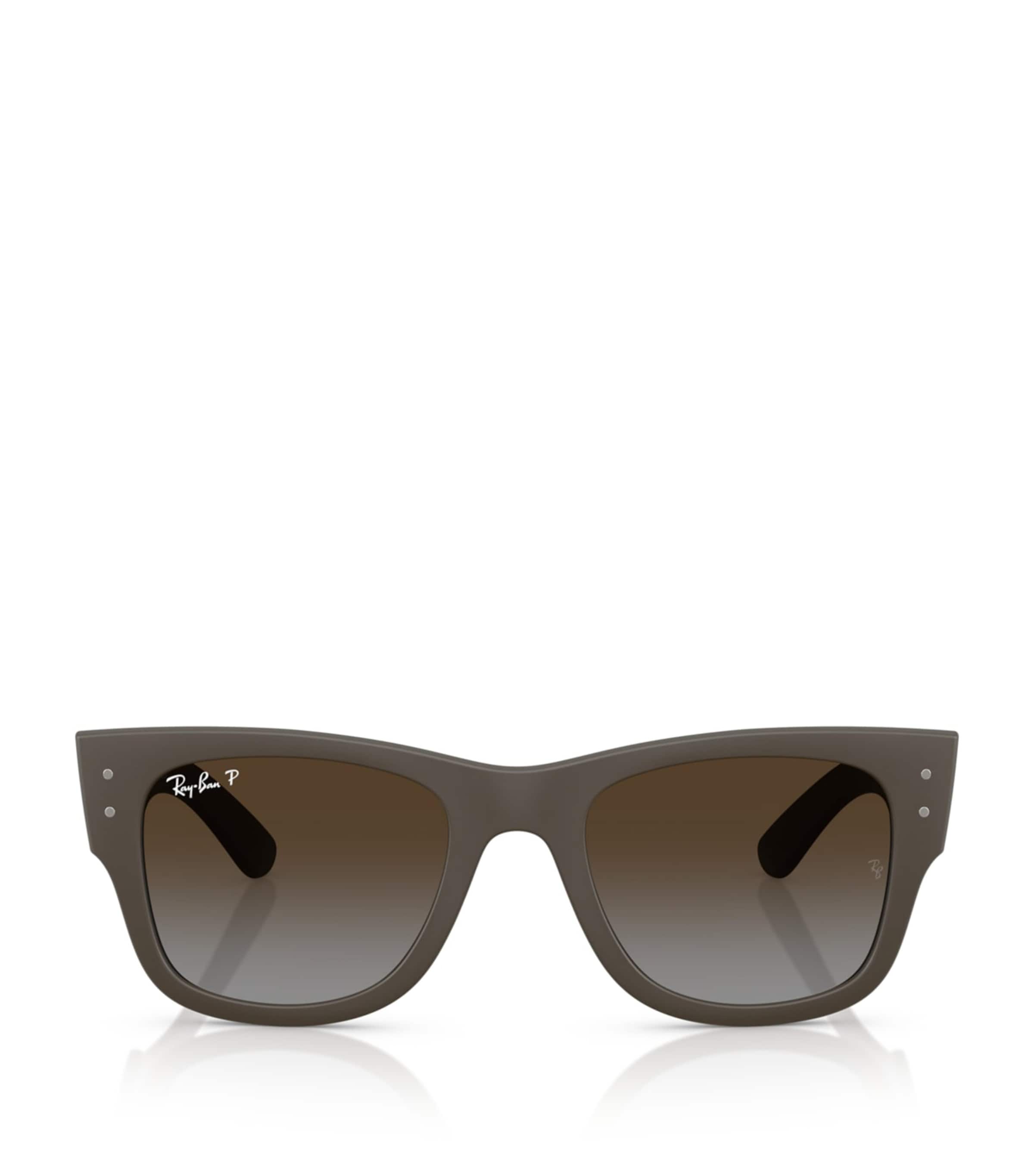 Ray-Ban Mega Wayfarer Liteforce Sunglasses Brown Image 1