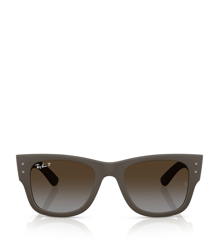 Ray-Ban Mega Wayfarer Liteforce Sunglasses Brown Image 1