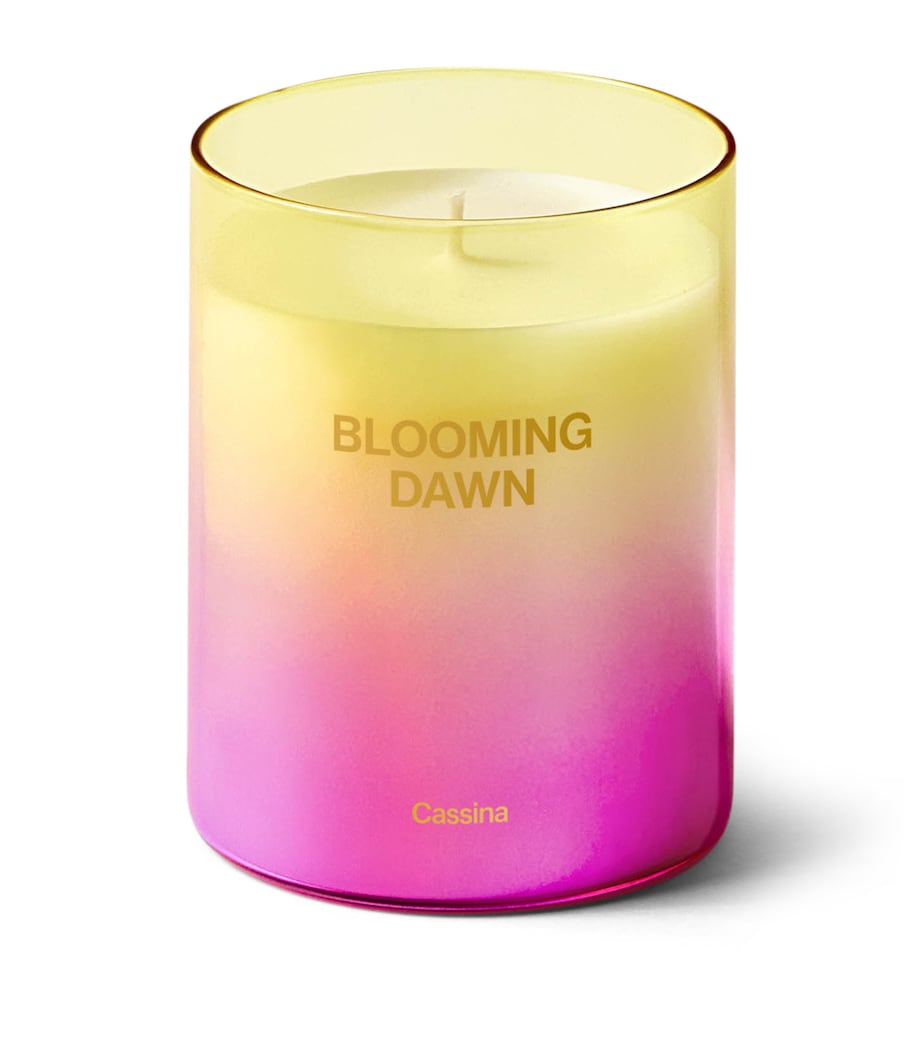 Blooming Dawn Candle (330g) MULTI Image 1