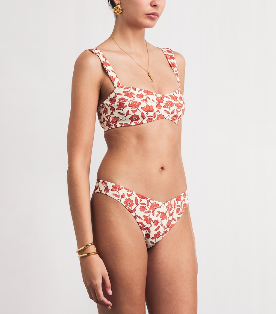 SIR. Womens Chloe Bikini Bottoms Tuileries Image 2