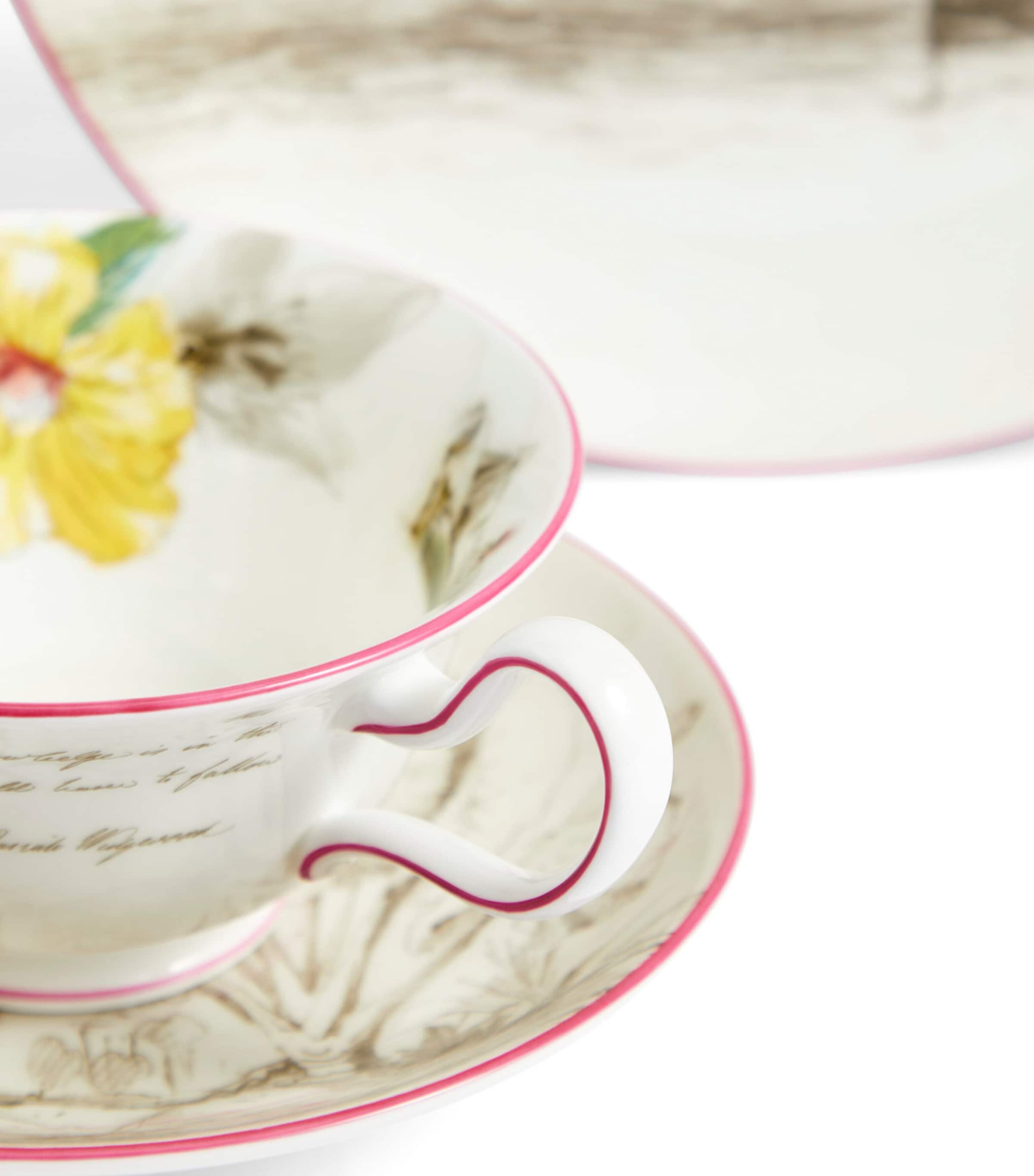 Voyage of the Beagle Galapagos Islands Plate, Teacup and Saucer Set MULTI Image 5