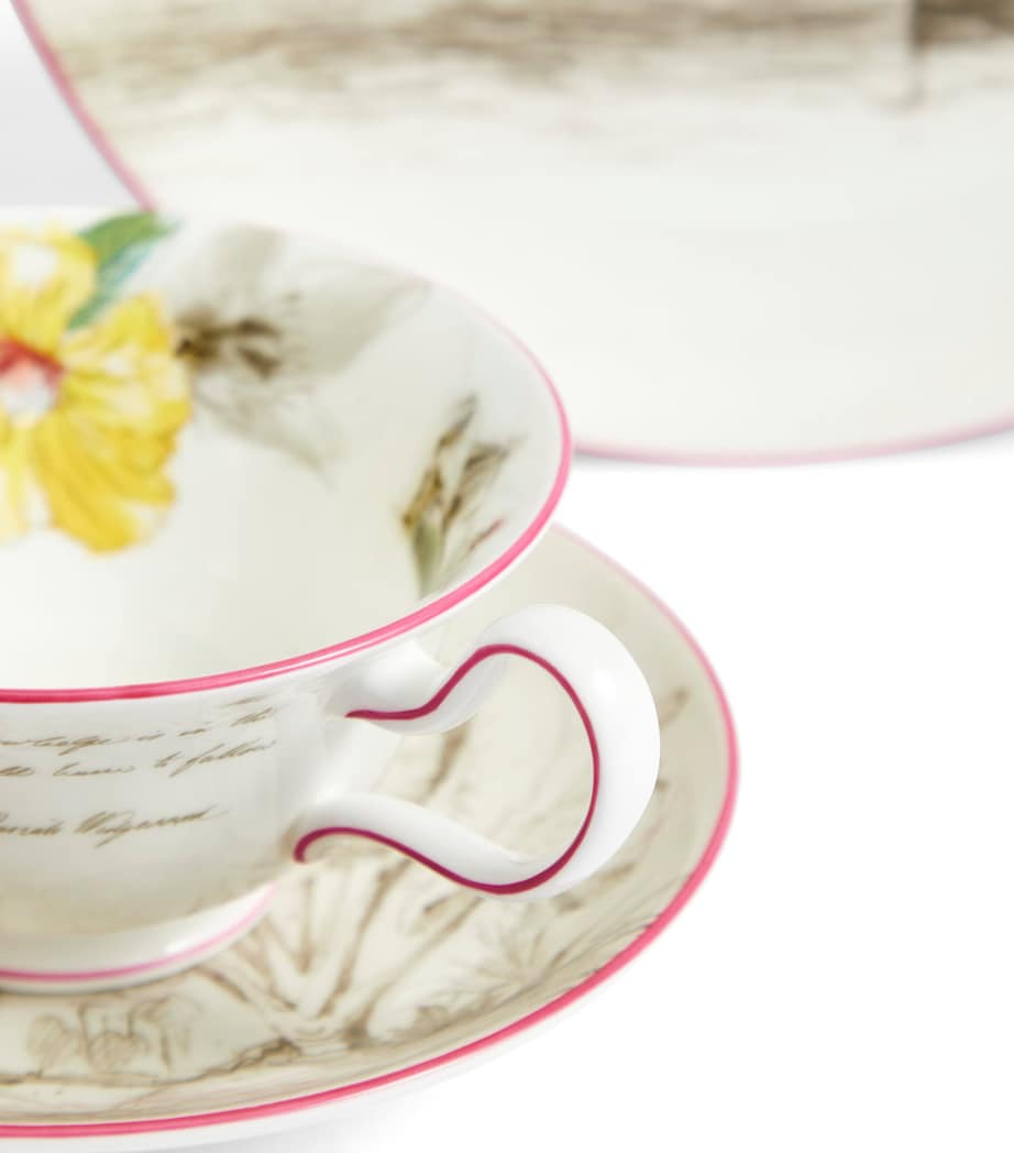 Voyage of the Beagle Galapagos Islands Plate, Teacup and Saucer Set MULTI Image 5