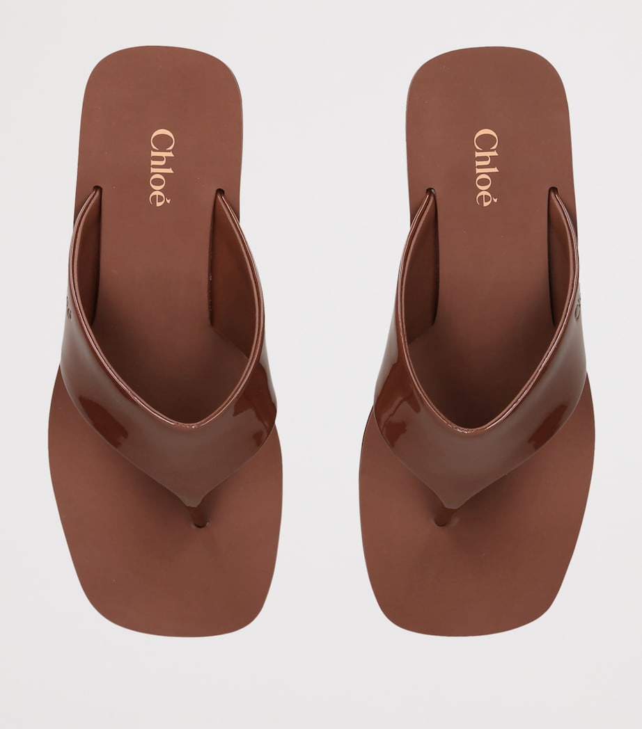 Chloé Swimming Cool Thong Sandals 60 Brown Image 3