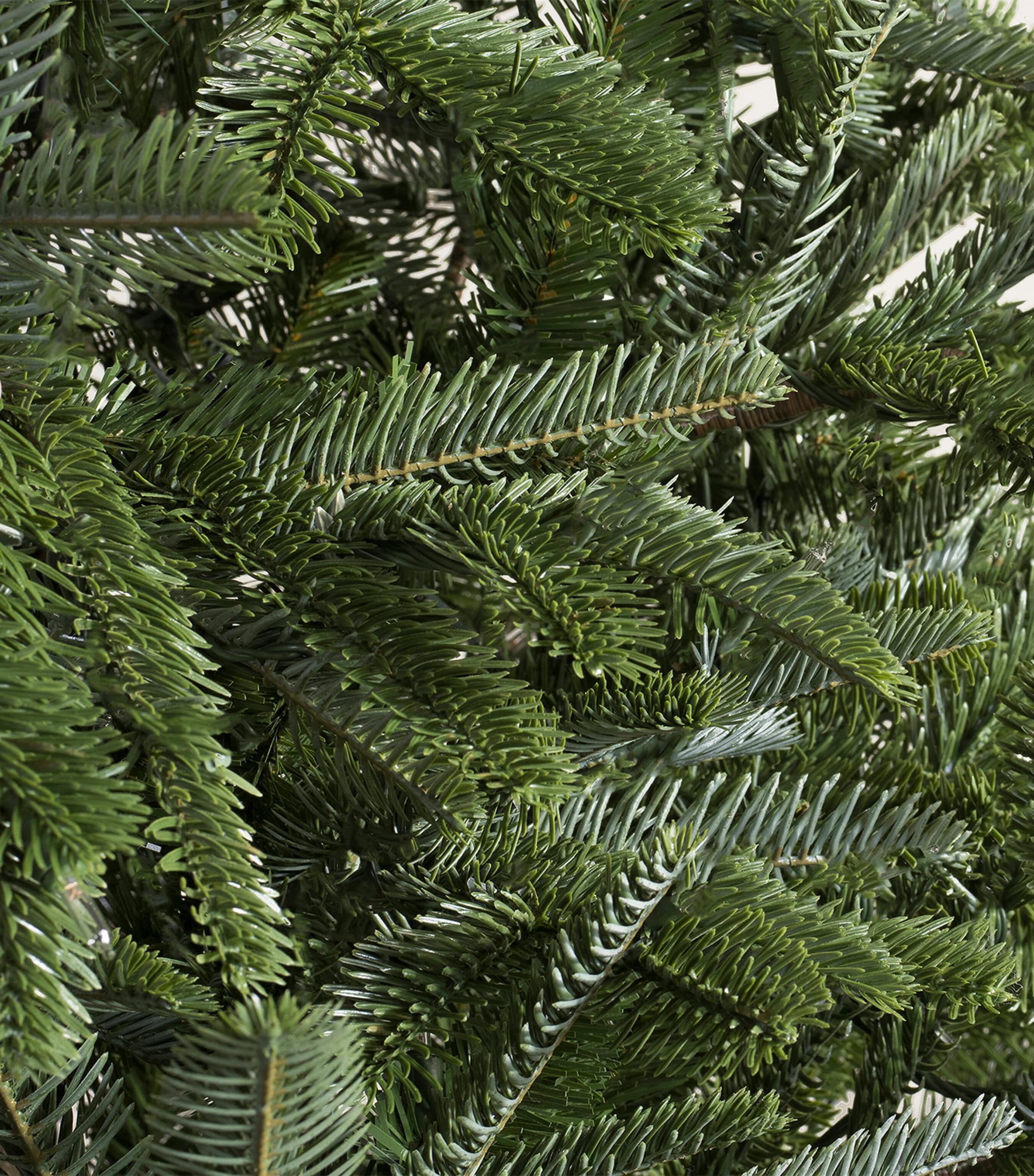 BALSAM HILL Nordmann Fir Unlit Christmas Tree (7ft) Green Image 3