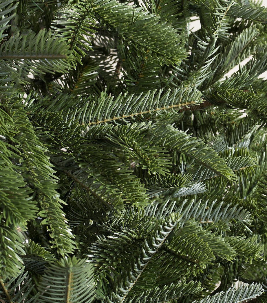 BALSAM HILL Nordmann Fir Unlit Christmas Tree (7ft) Green Image 3