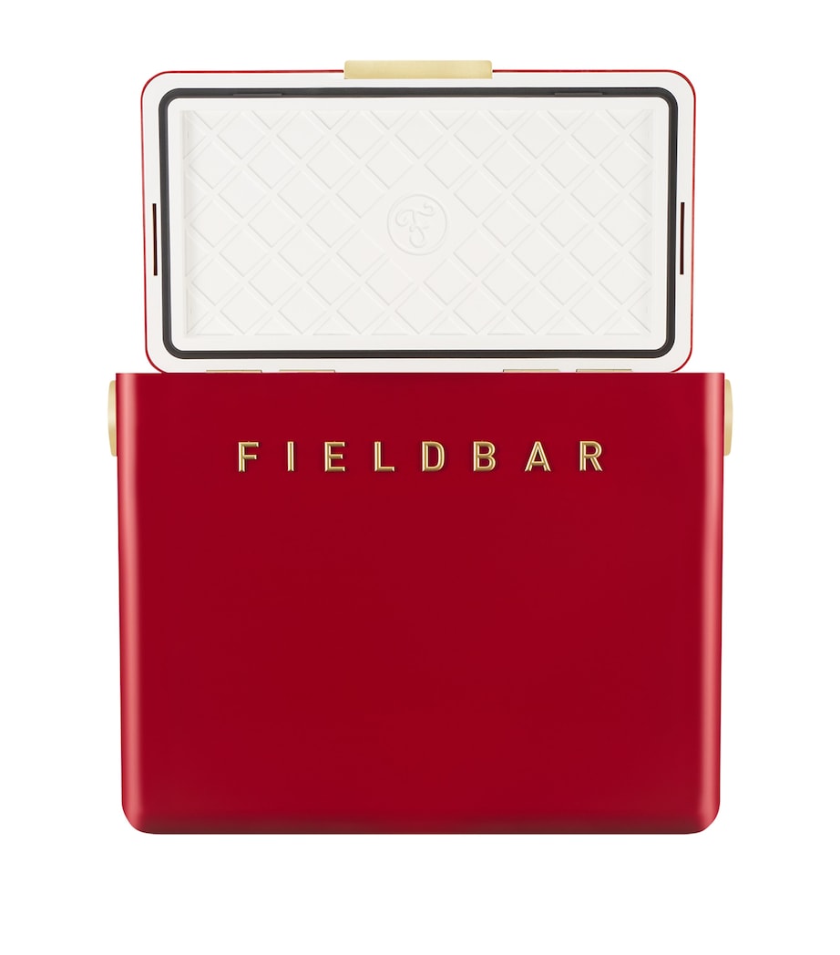 Gin Trunk Cooler Box (24L) RED Image 5