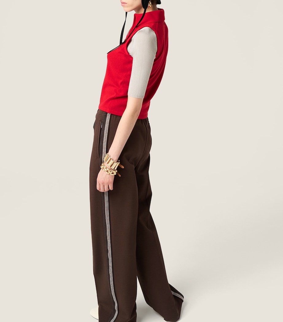 Cashmere Sleeveless Polo Sweater F0011 Image 5