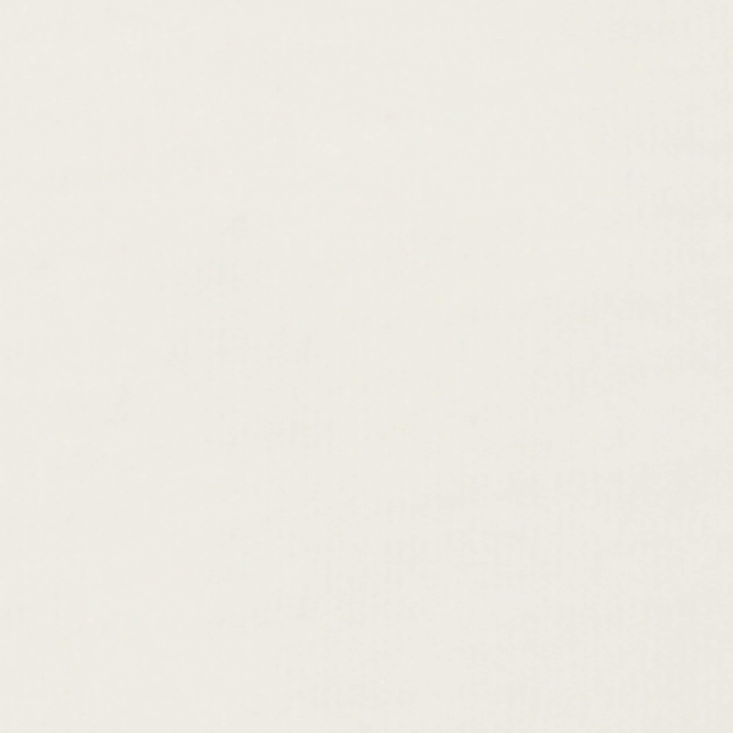 Cotton Logo T-Shirt  (6-24 Months) OFFWHITE Image 3