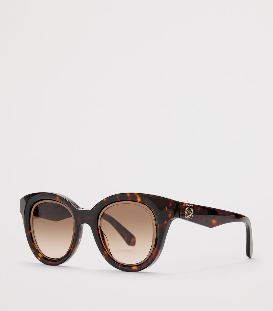 Mini Anagram Butterfly Sunglasses HAVANA Image 2