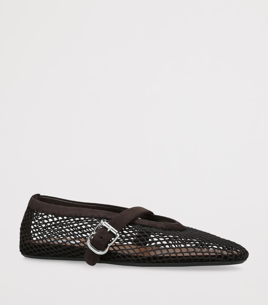 Mesh Ballet Flats DARK BROWN Image 3