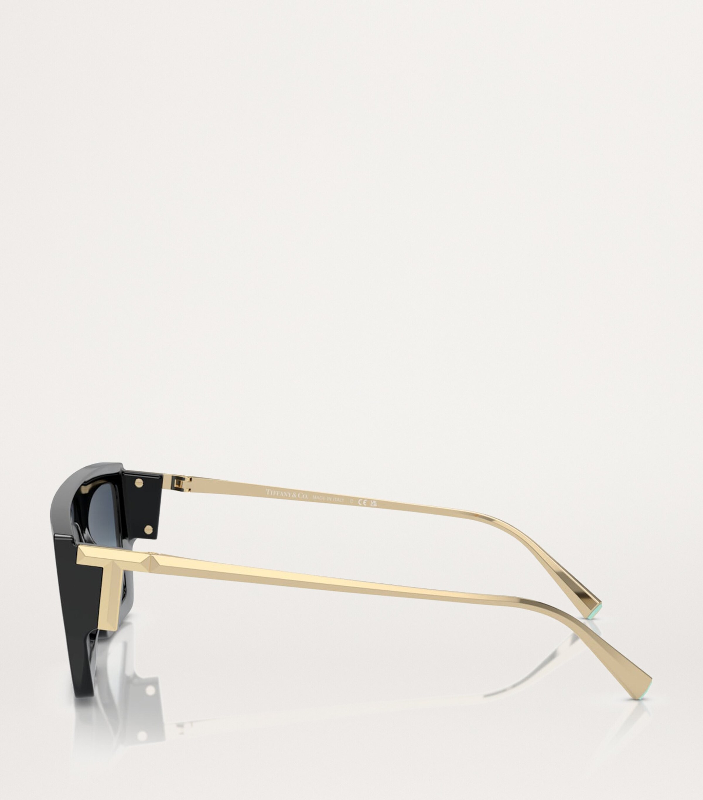 Injected 0TF4214U Sunglasses 83429S Image 3