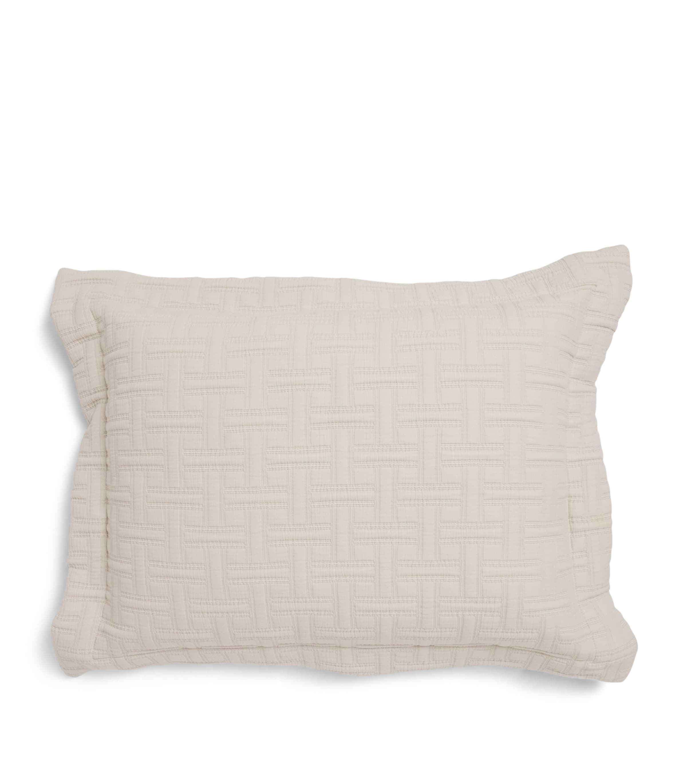 Peter Reed Embroidered Kengo Oxford Cushion (60cm x 45cm) Neutral Image 1