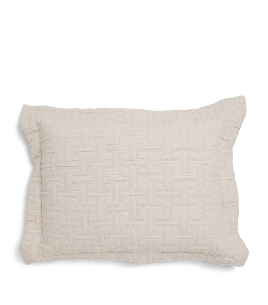 Peter Reed Embroidered Kengo Oxford Cushion (60cm x 45cm) Neutral Image 1