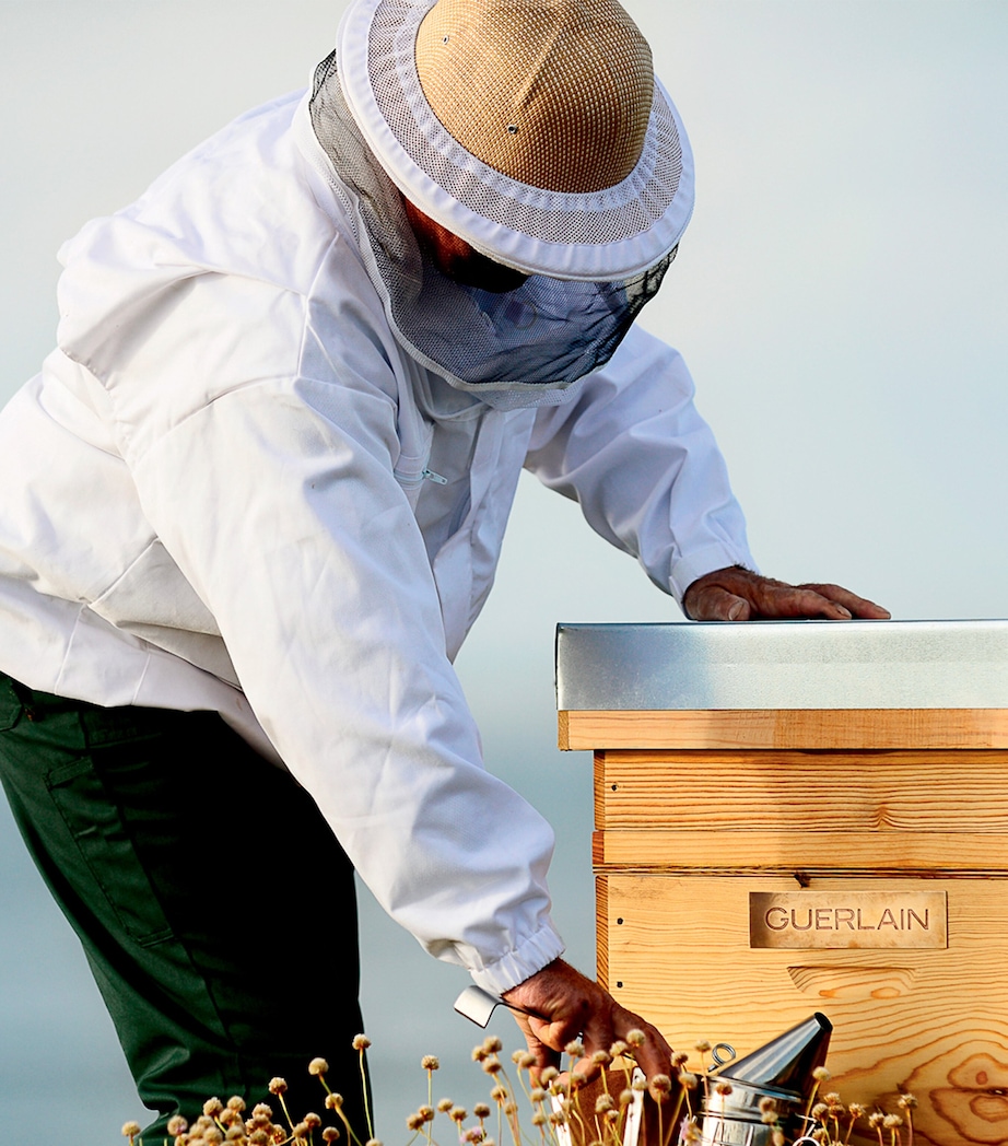 Abeille Royale Double R Radiance & Repair Mask (200ml) NO COLOUR Image 9