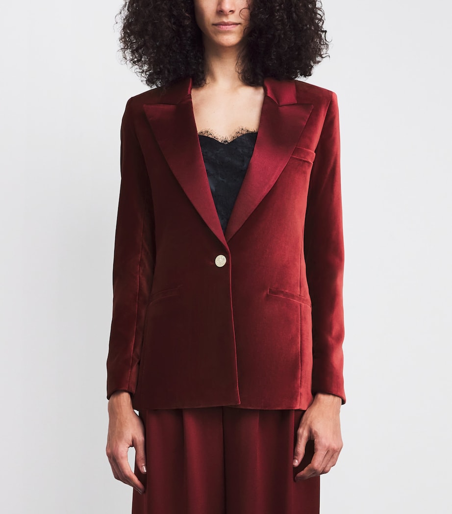 Velvet Silas Blazer I606 OXBLOOD Image 3