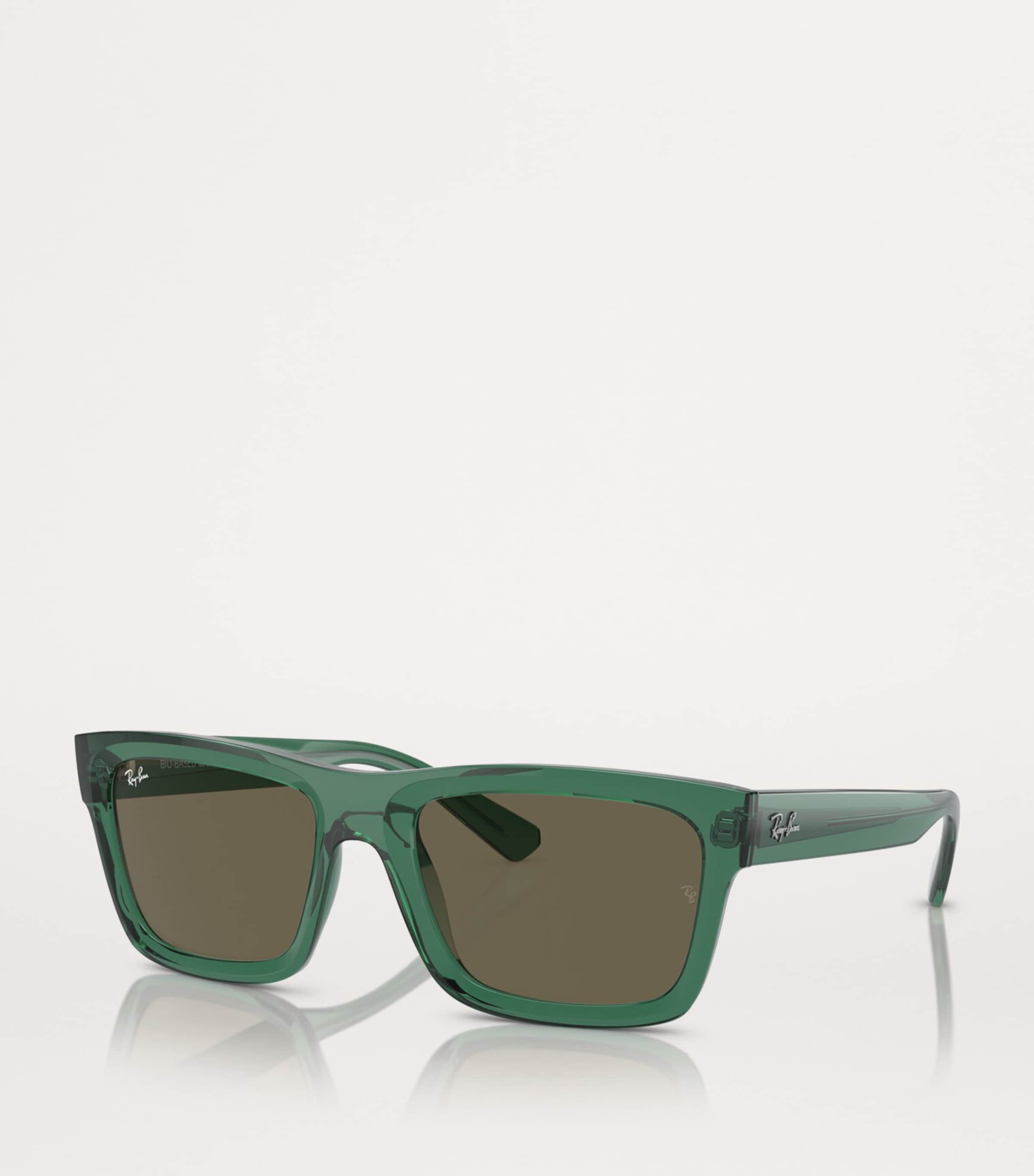 Ray-Ban Acetate 0RB4396 Sunglasses Image 2