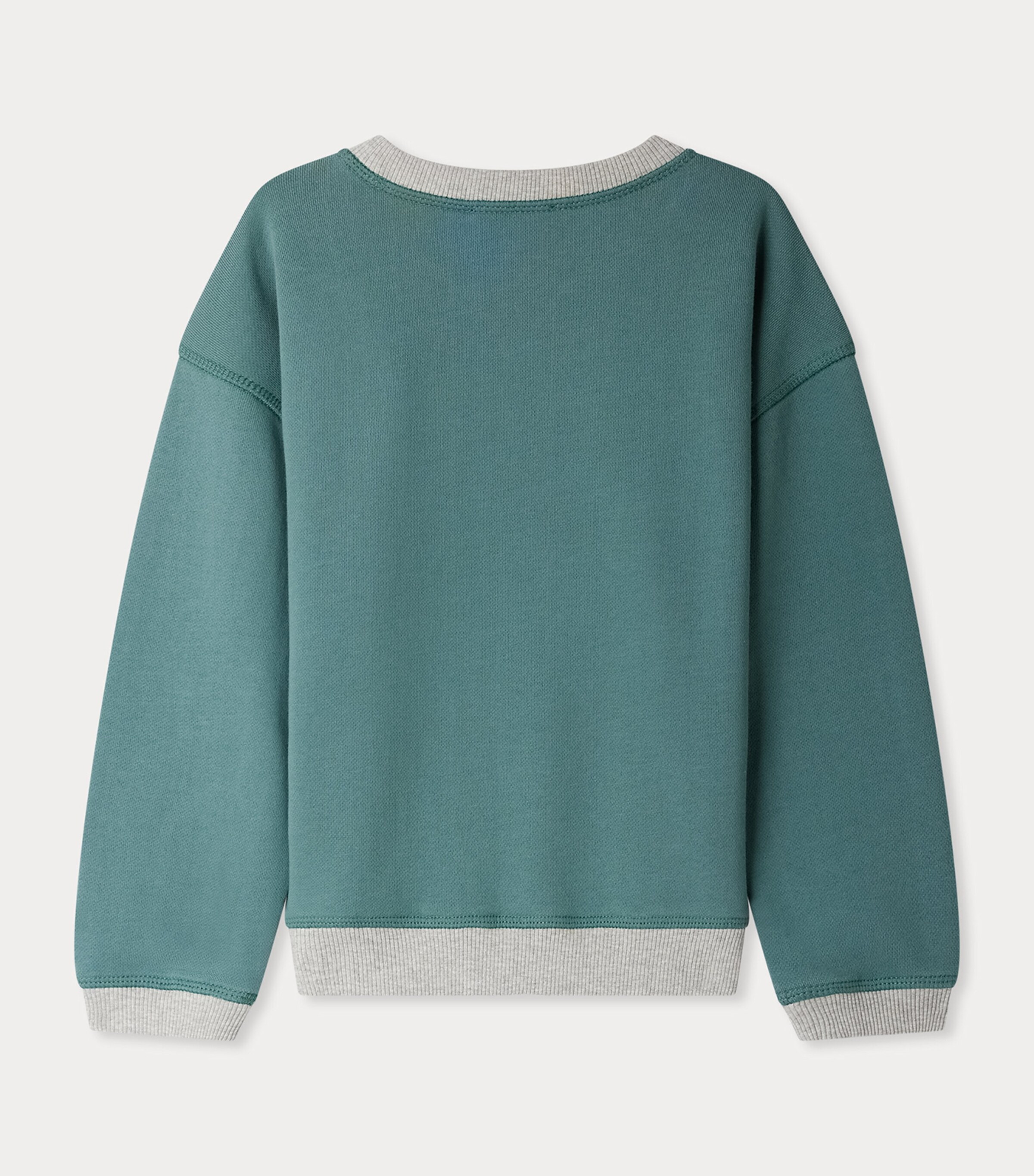 Cotton Erol Sweatshirt (4-8 Years) VERT DE GRIS Image 2