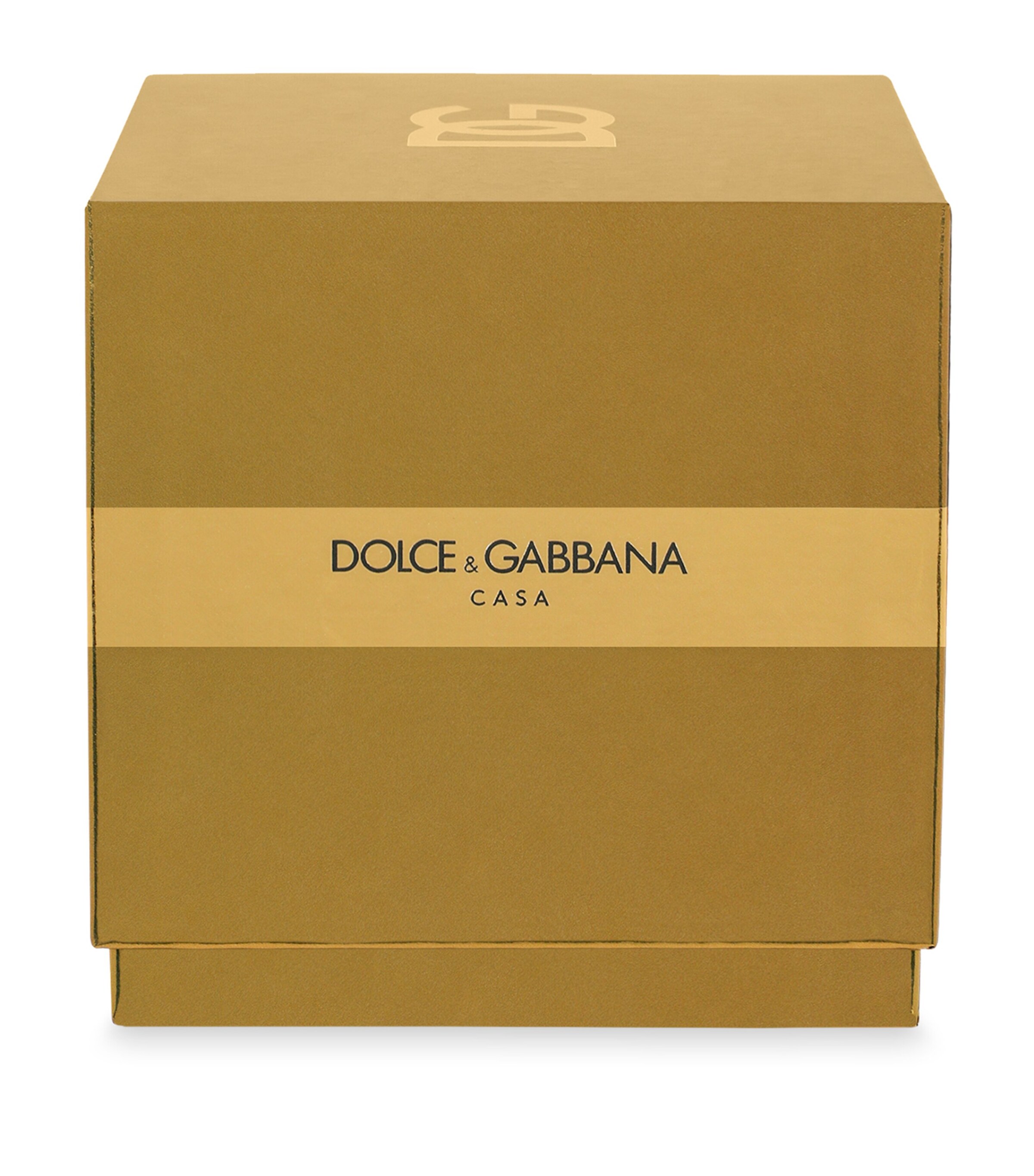 Dolce&Gabbana Casa DG Millennials Logo Candle (250g) Incenso Image 5