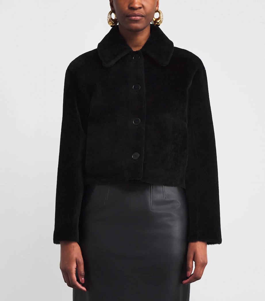 Shearling Reversible Alloway Jacket BLACK Image 3
