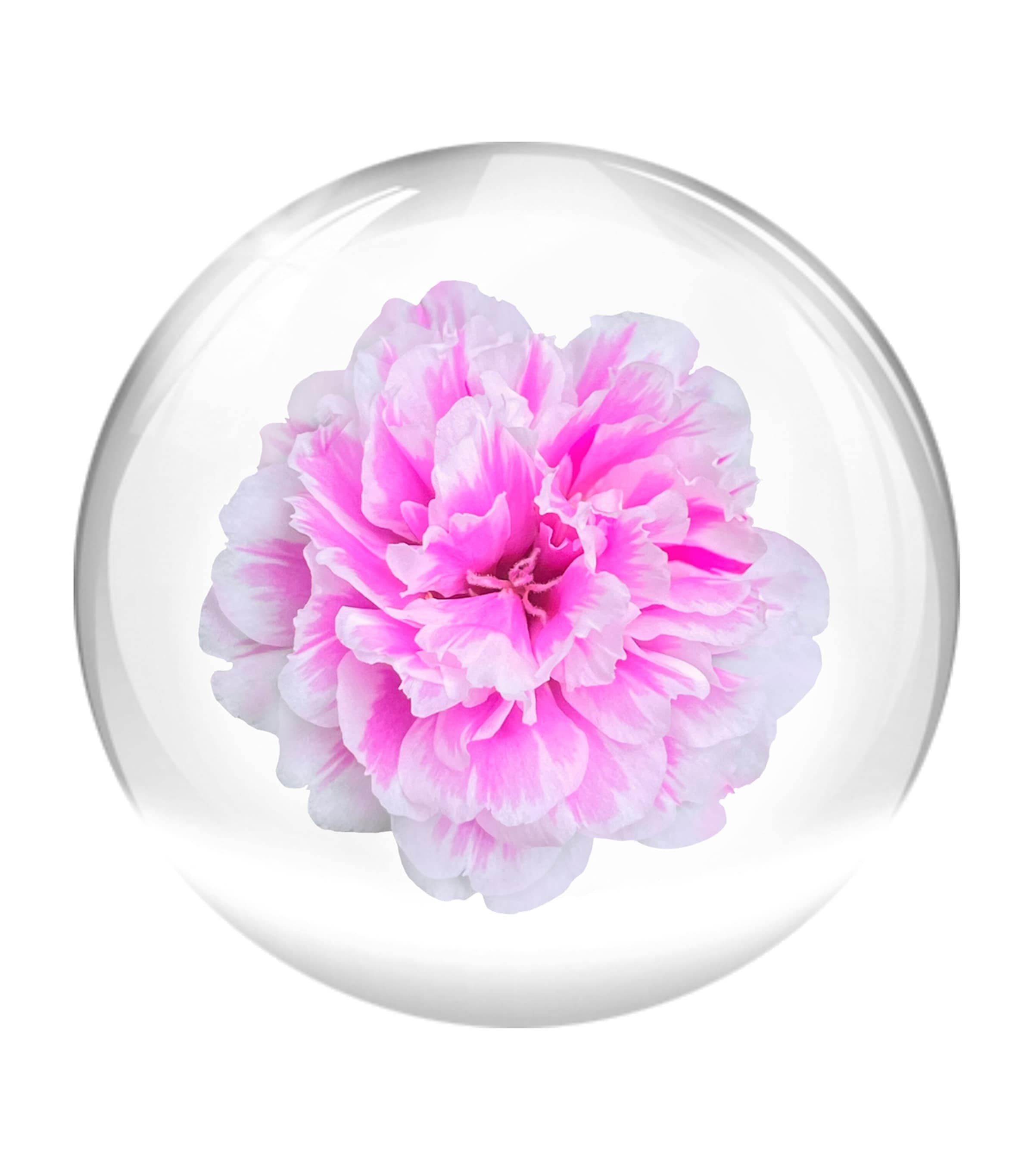 24 Hour Light Cream (50ml) NO COLOUR Image 3