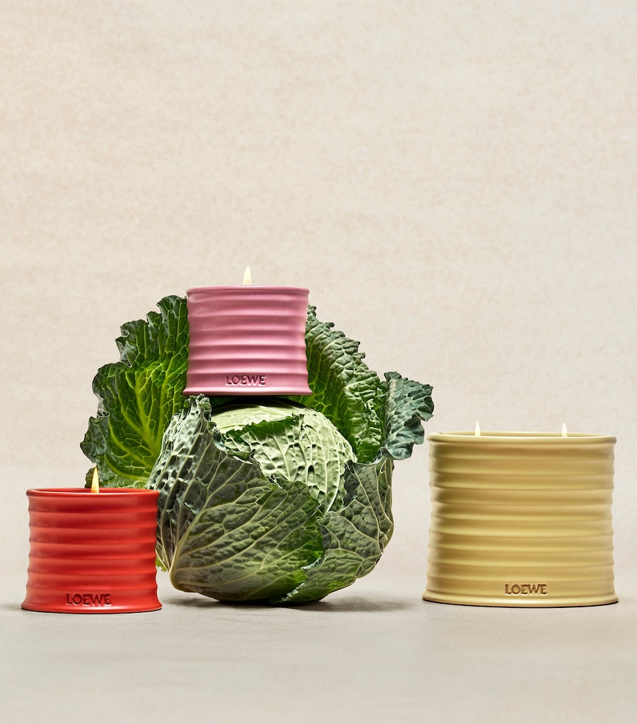 Medium Honeysuckle Scented Candle NO COLOUR Image 5