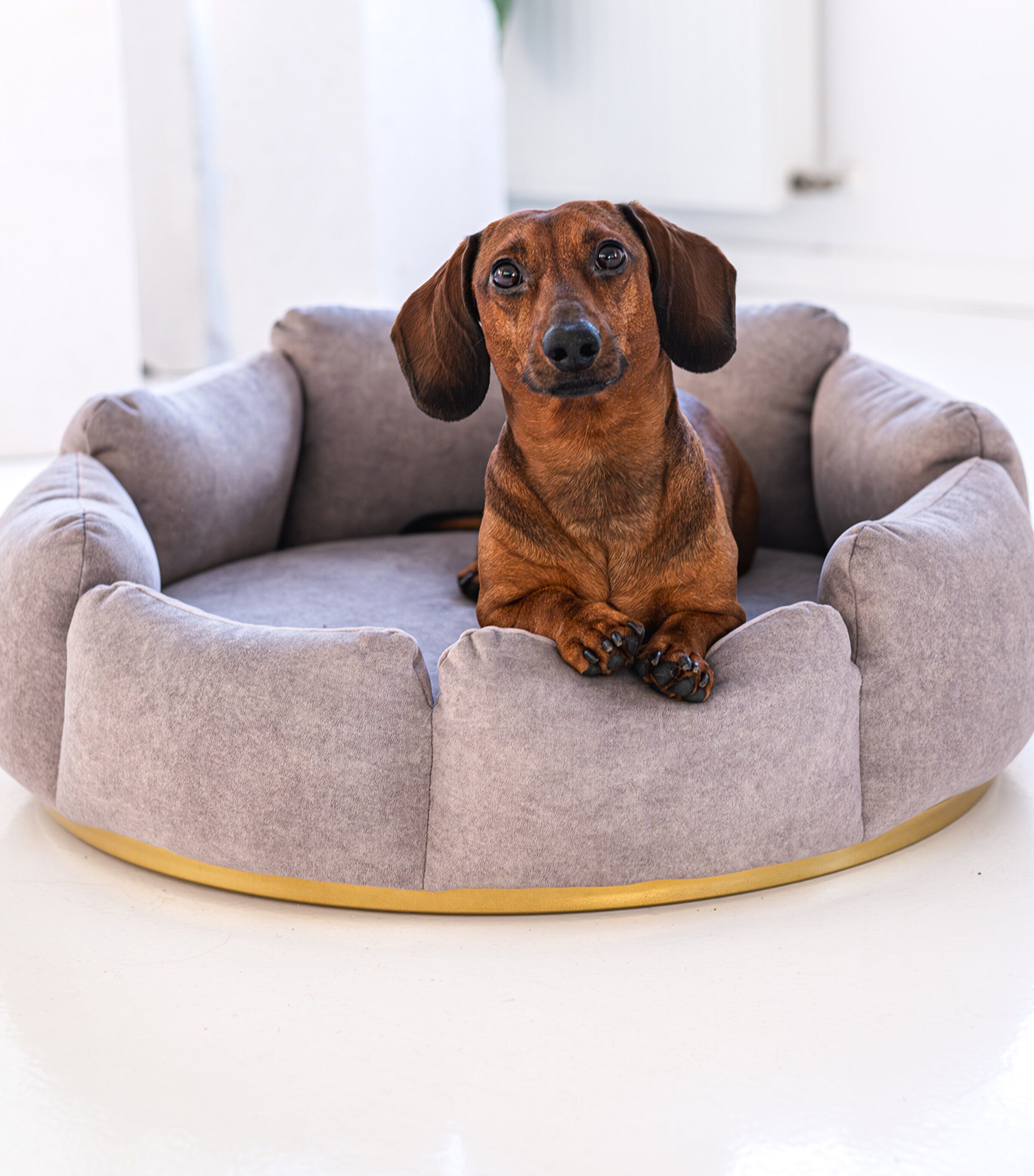 Medium Camelia Pet Bed TAUPE+GOLD Image 5