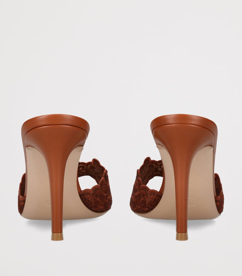 Gianvito Rossi Lace Yvonne Mules 85 Brown Image 4