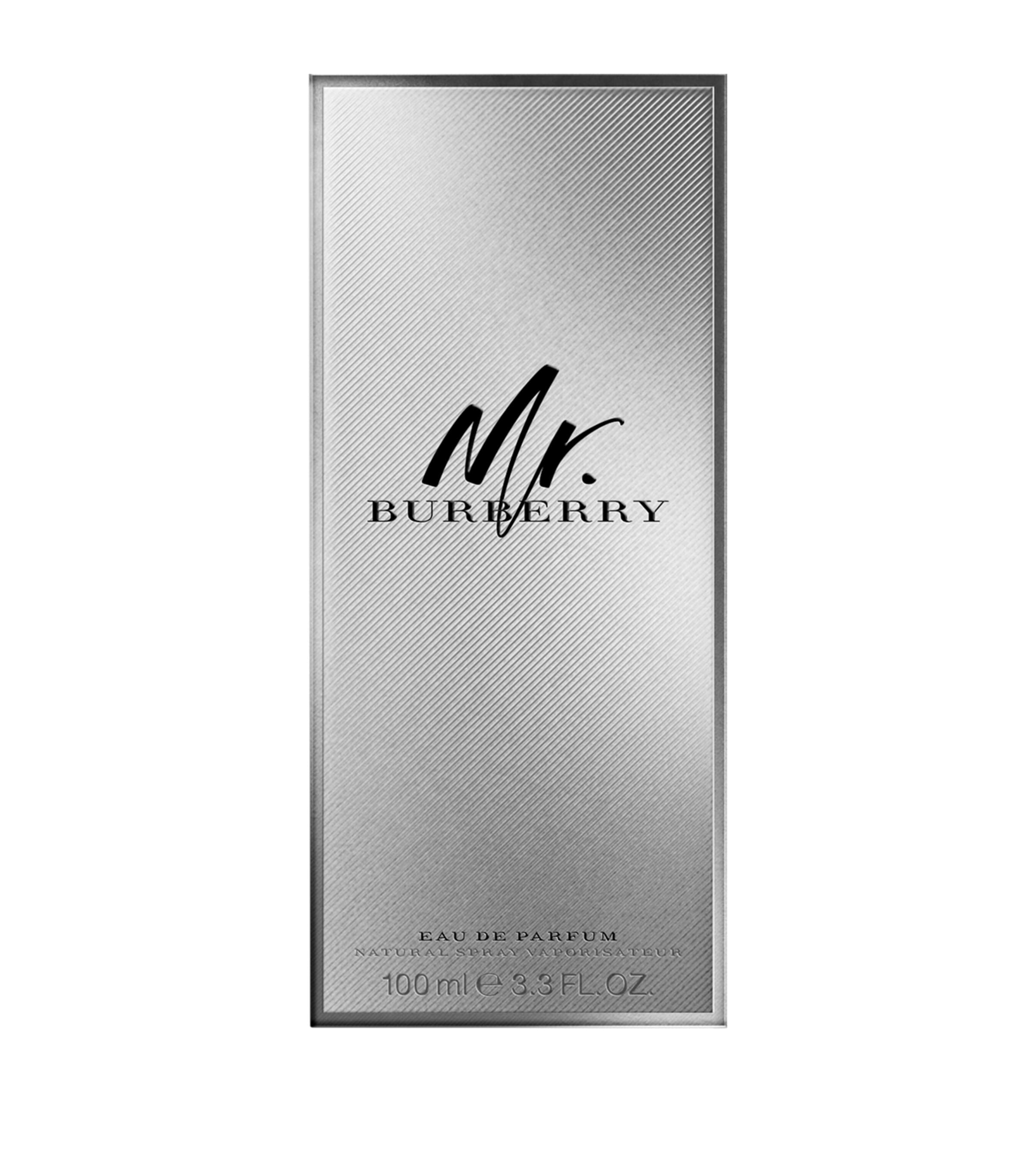 Mr Burberry Indigo Eau de Parfum (100ml) NO COLOUR Image 2