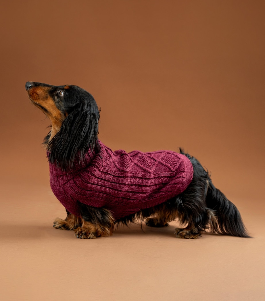 ALQO WASI Alpaca-Blend Aran Knit Dog Sweater (XX-Small) Red Wine Image 3