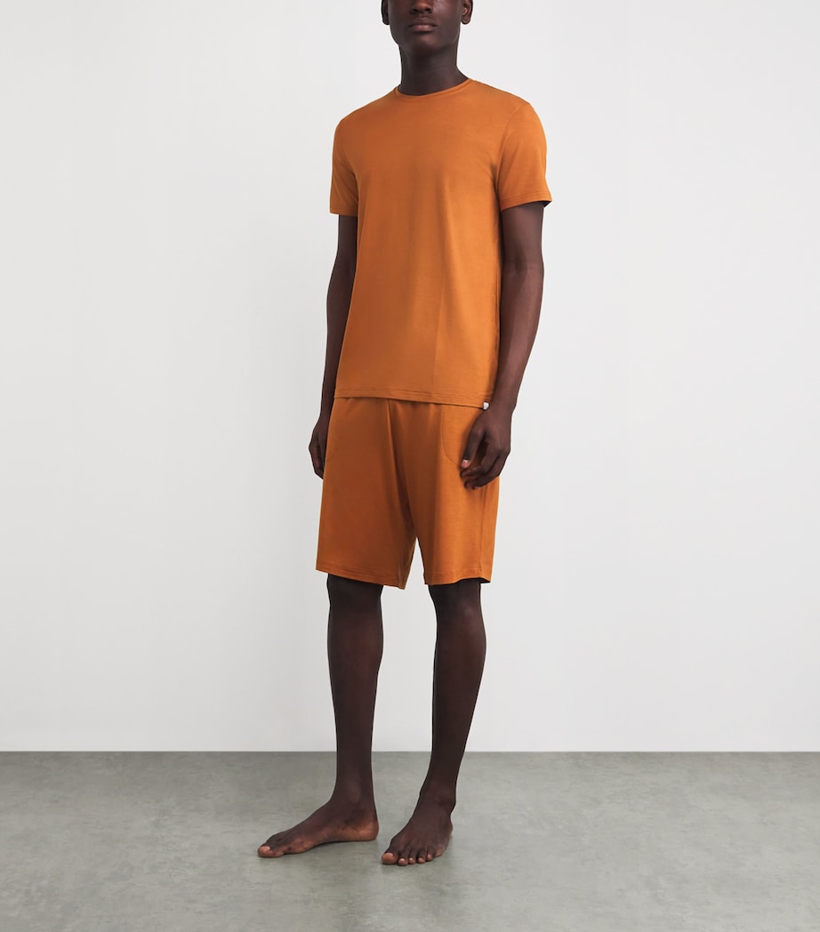 Micro Modal Basel T-Shirt 022BRO Image 2