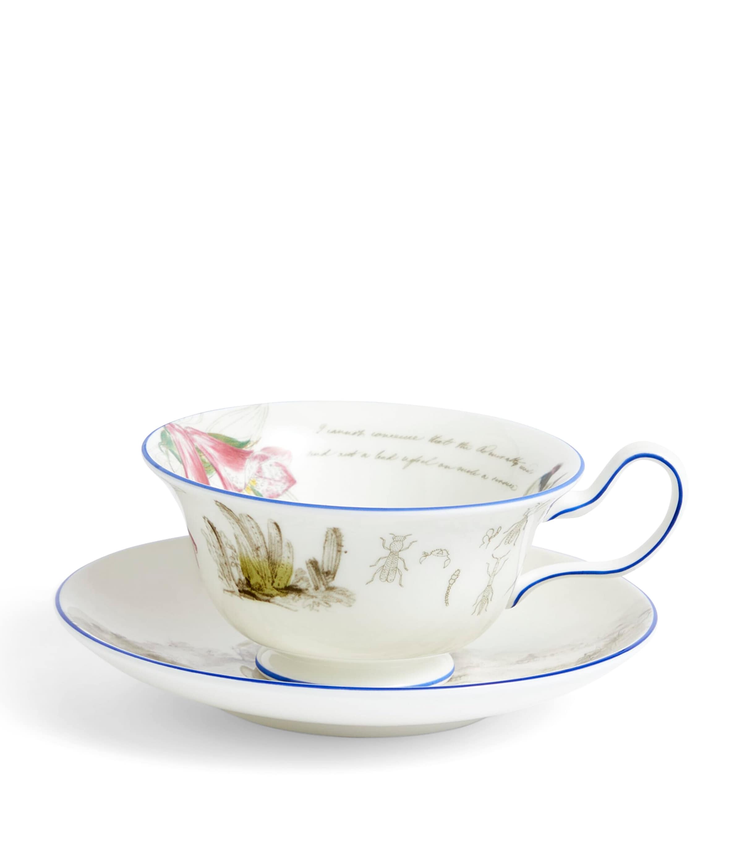 Wedgwood Voyage of the Beagle Chile Plate, Teacup and Saucer Set Image 4