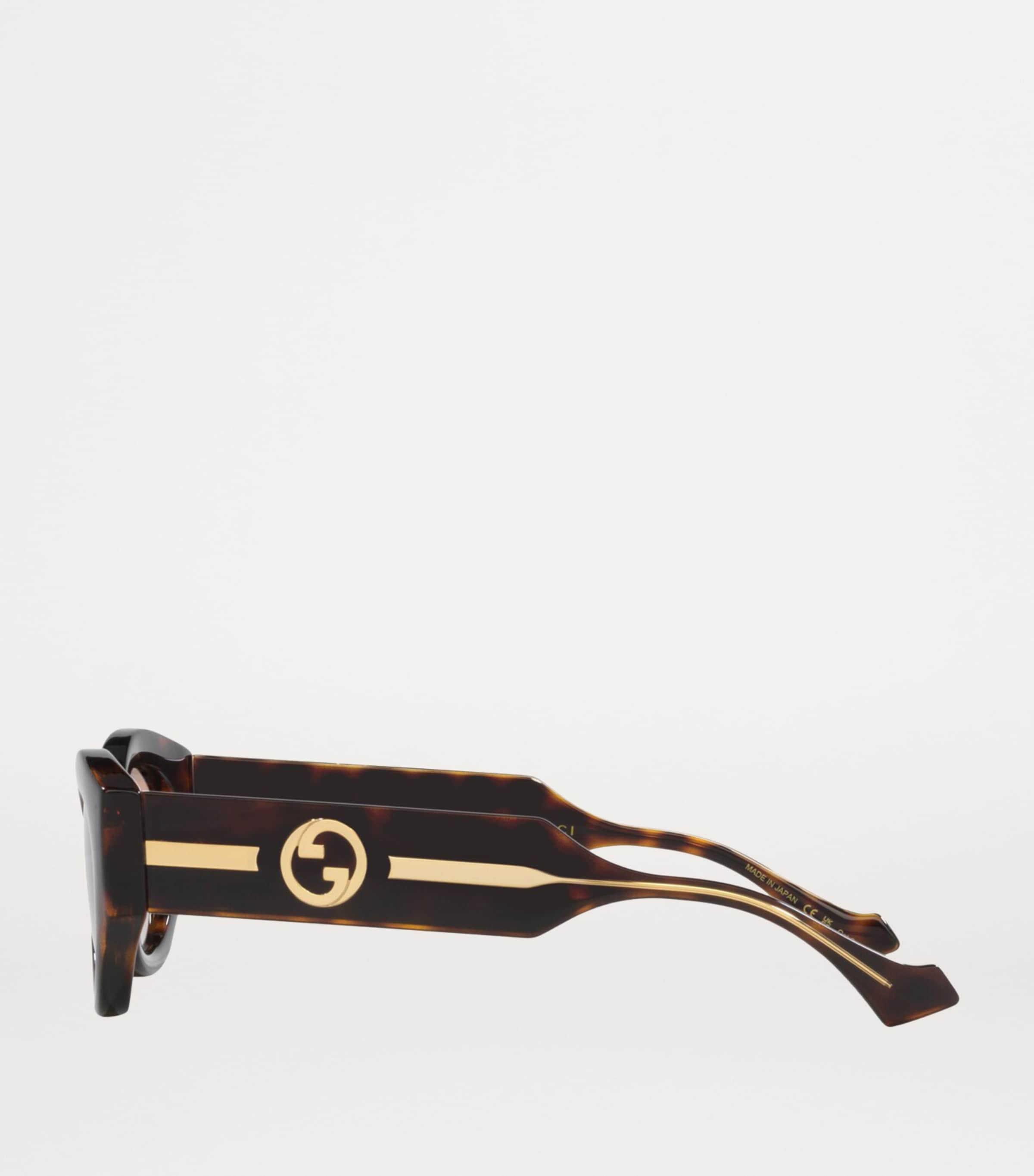 Injected Oval Sunglasses 4402D1 Image 3