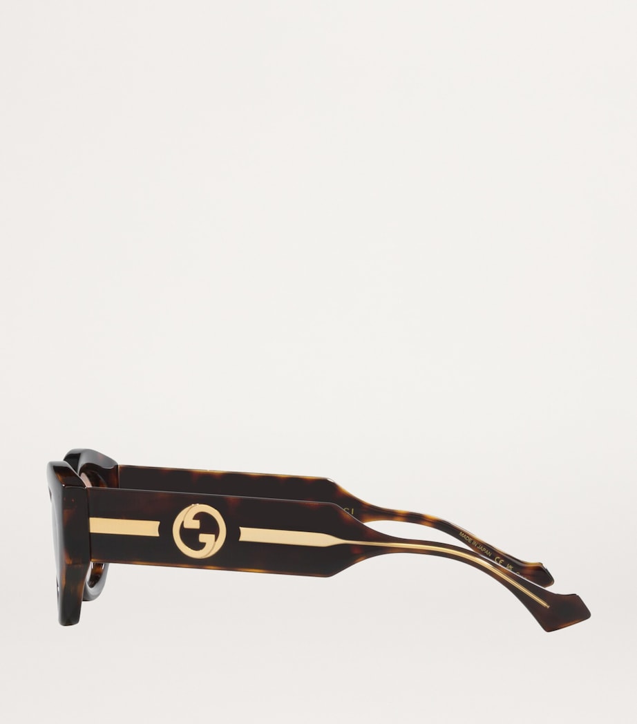 Injected Oval Sunglasses 4402D1 Image 3