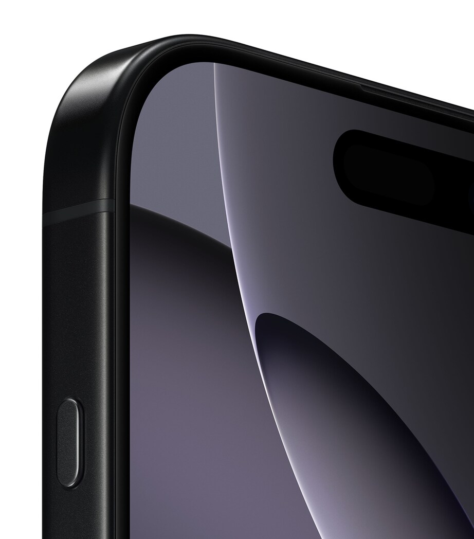 iPhone 16 Pro 256GB - Black Titanium BLACK Image 3