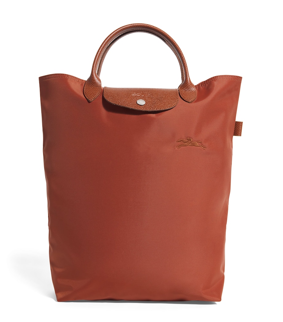 Medium Le Pliage Green Tote Bag 404 CHESTNUT Image 1