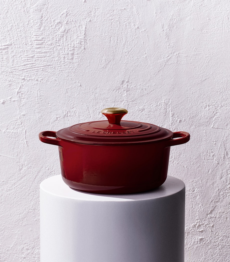 Cast Iron Round Casserole Dish (24cm) GARNET Image 4
