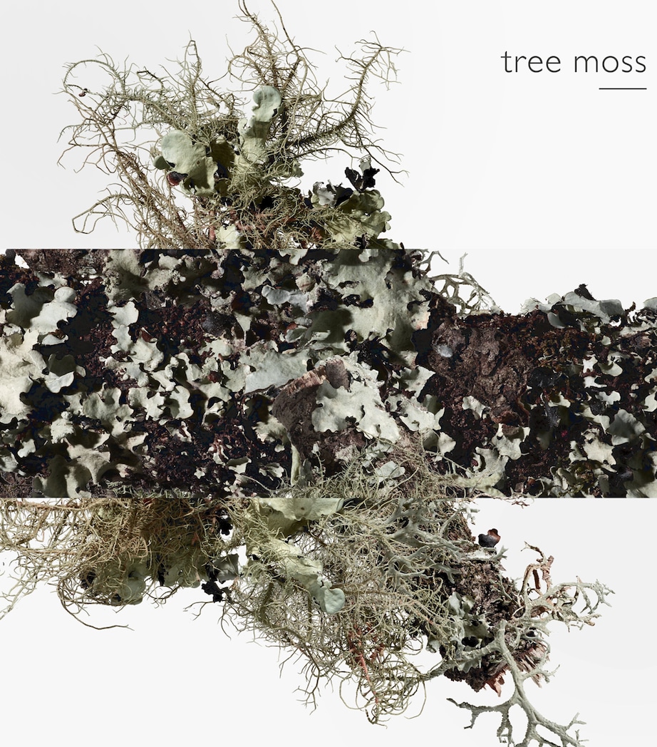 Eau D'orange Verte Eau de Cologne (100ml) NO COLOUR Image 6