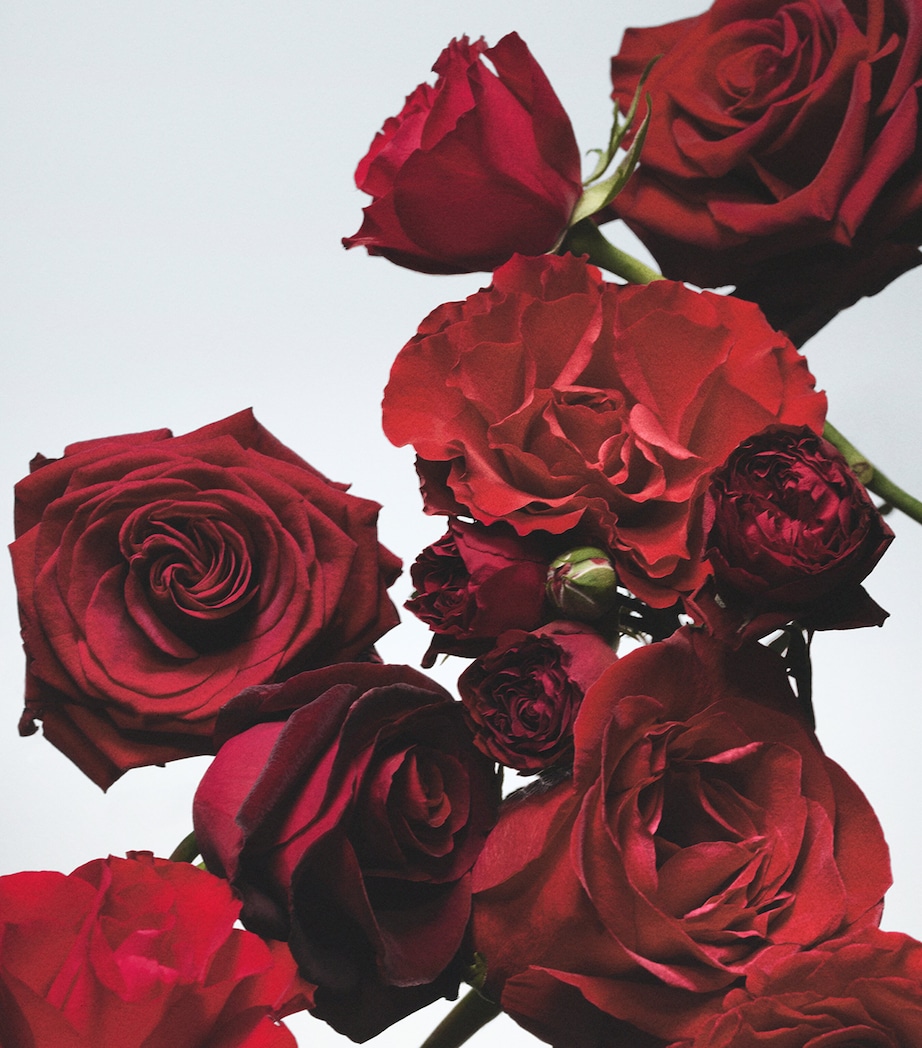 Jo Malone London Red Roses Cologne (100ml) Image 3