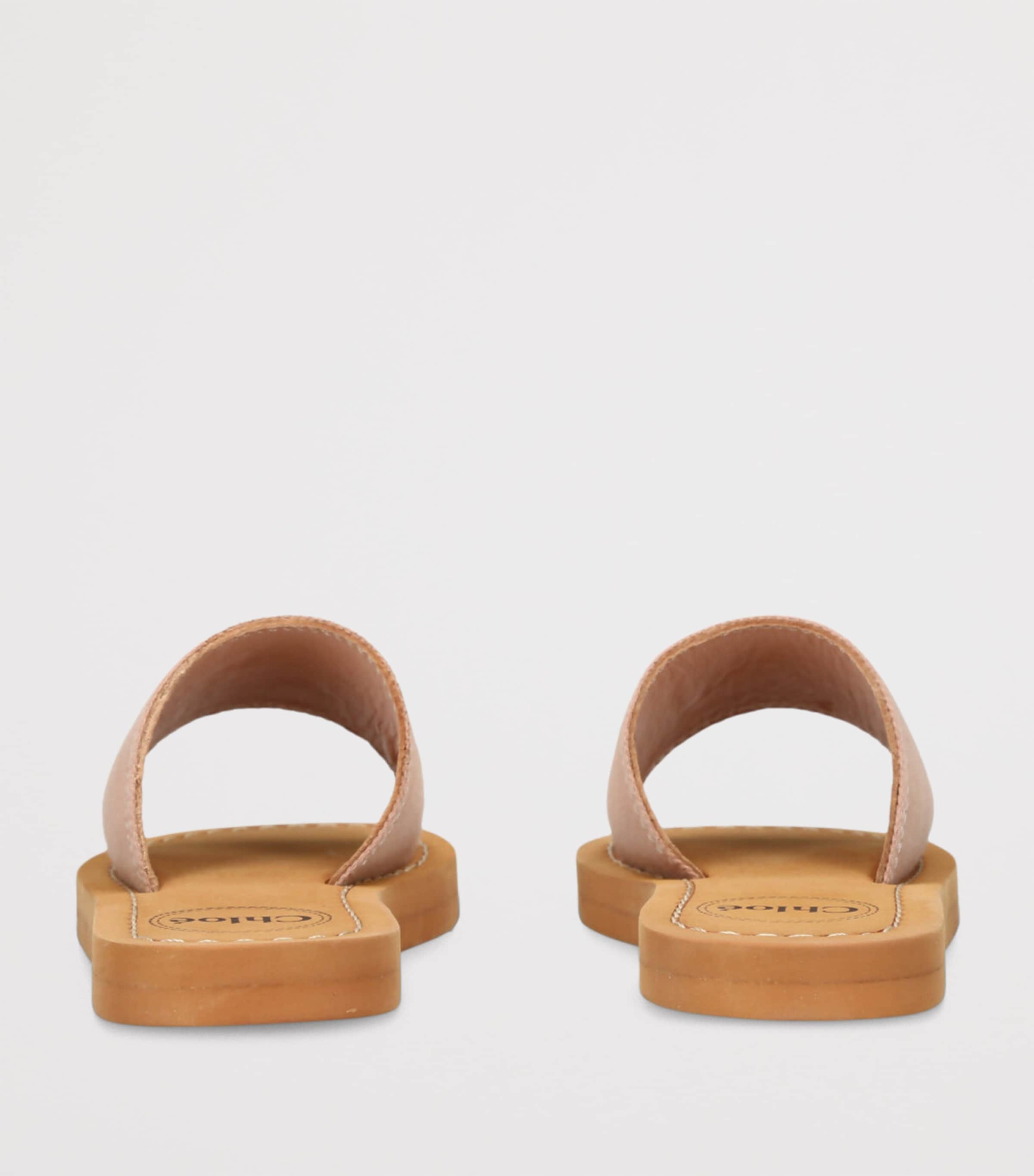 Canvas Logo Slides PALE PINK Image 2