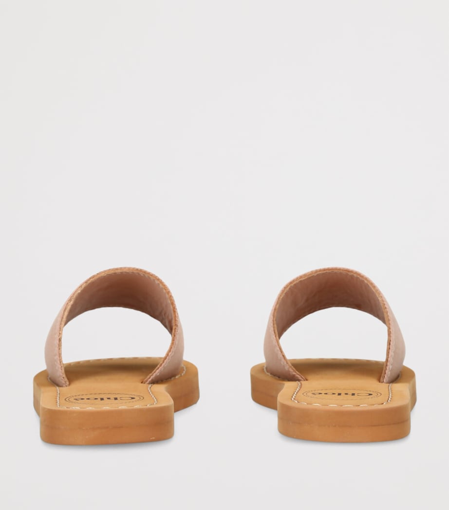 Canvas Logo Slides PALE PINK Image 2