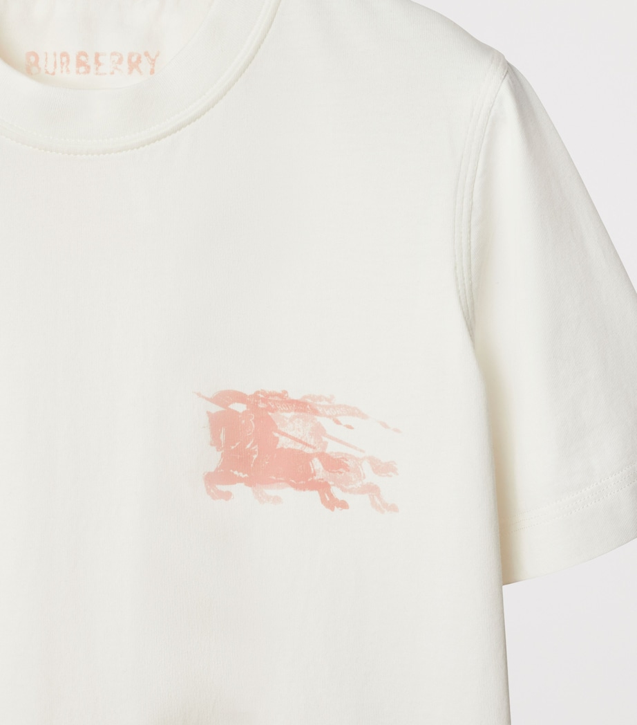 Cotton EKD T-Shirt CHALK Image 4