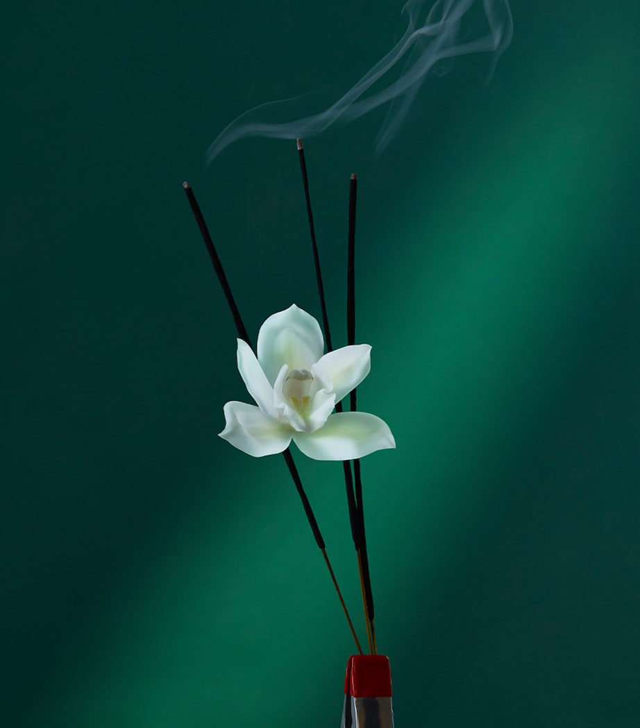 The Audacity Eau de Parfum (100ml) NO COLOUR Image 6