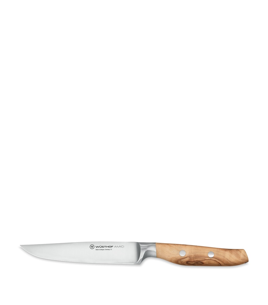Amici Steak Knife BROWN Image 1